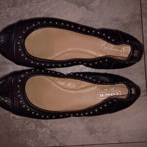 Coach shoes